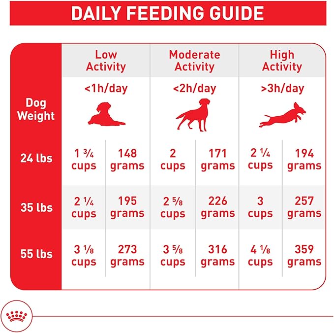 Royal Canin Size Health Nutrition Medium Adult Dry Dog Food, 40 lb Bag