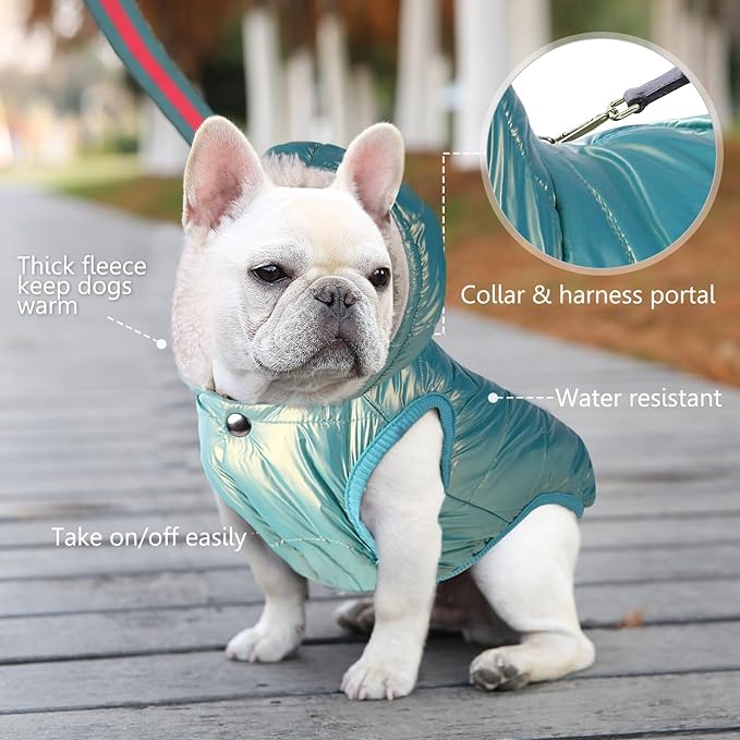 Fleece Hoodie, Windproof Waterproof Coat, Winter Warm Jacket for Dogs - Cold Weather Pet Apparel Clothes Vest for Small Medium Large (M, Mintgreen)