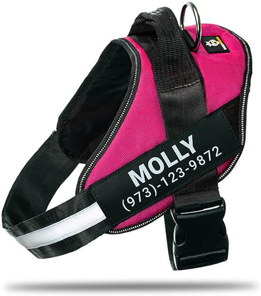 Personalized No-Pull Dog Harness with Name Patch, Adjustable, Reflective, Padded, Heavy Duty Pet Vest to Prevent Tugging, Pulling, or Choking, Training and Walking, Rose Red, XS