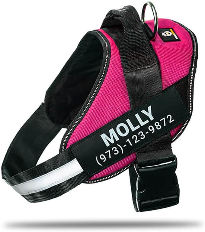 Personalized No-Pull Dog Harness with Name Patch, Adjustable, Reflective, Padded, Heavy Duty Pet Vest to Prevent Tugging, Pulling, or Choking, Training and Walking, Rose Red, S
