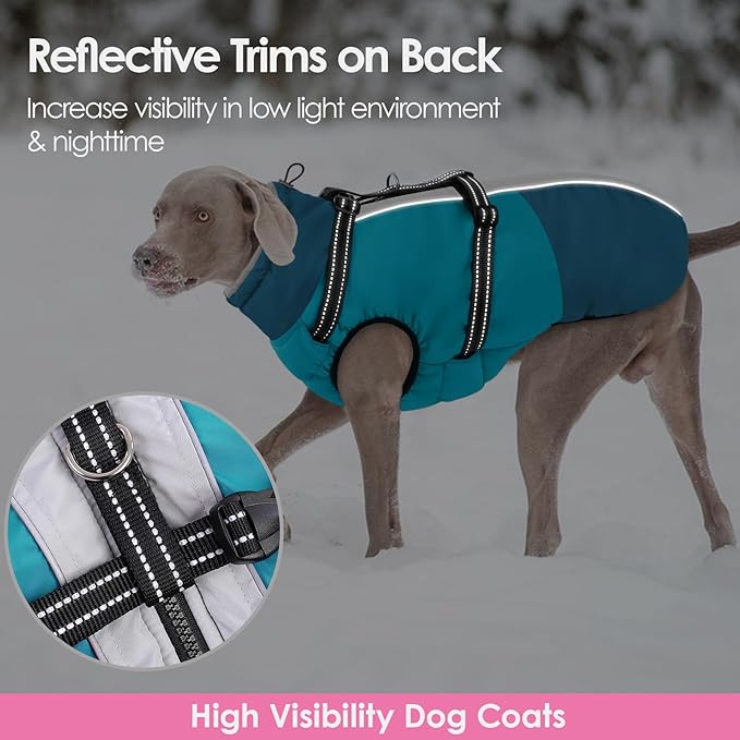 AOFITEE Dog Coats for Large Dogs, Waterproof Dog Winter Jacket with Harness Built in, Warm Large Dogs Coat with Fleece Lined, Zip Up Pets Jackets for Golden Retriever, Weimaraner, Turquoise 2XL