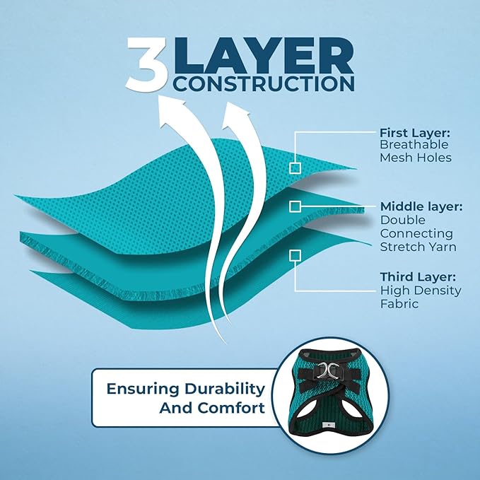 Voyager Step-in Air All Weather Mesh Harness and Reflective Dog 5 ft Leash Combo with Neoprene Handle, for Small, Medium and Large Breed Puppies by Best Pet Supplies - Turquoise, XL