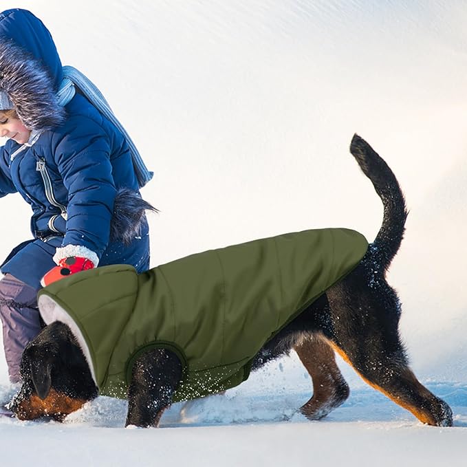 Fleece Hoodie, Windproof Waterproof Coat, Winter Warm Jacket, Cold Weather Pet Apparel Clothes Vest for Small Medium Large Dogs (XL, Green)