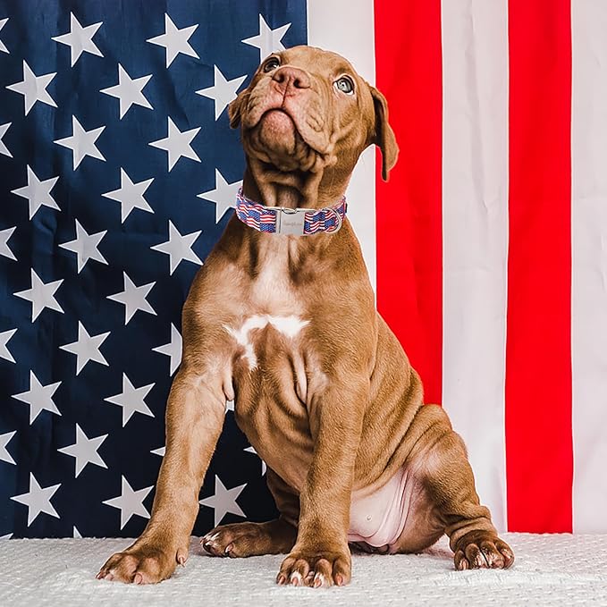 Unique style paws Independence Day Dog Collar Metal Buckle Wave Flag Collar Gift Durable Cute Collar for Small Medium Large Boys Girls Dogs