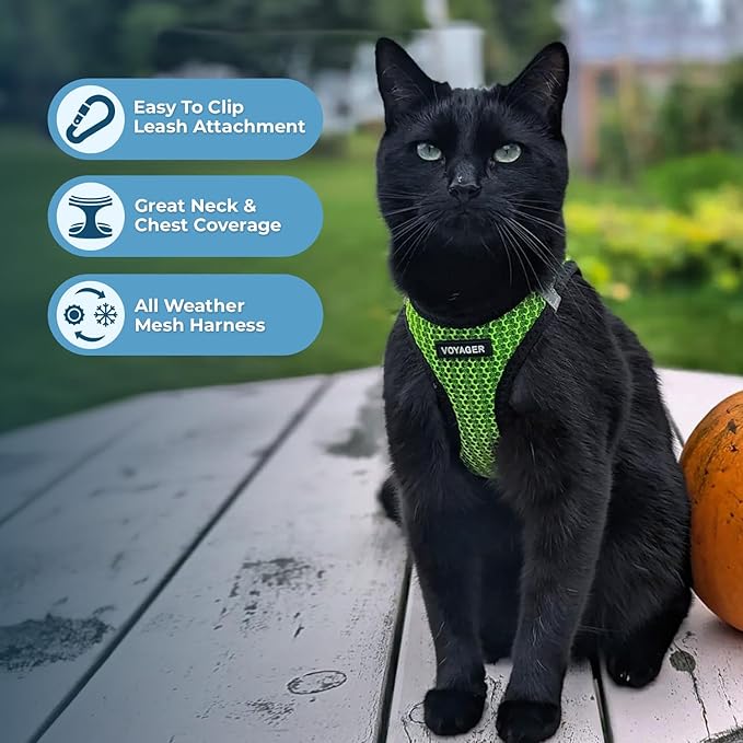 Voyager Step-in Air All Weather Mesh Harness and Reflective Dog 5 ft Leash Combo with Neoprene Handle, for Small, Medium and Large Breed Puppies by Best Pet Supplies - Lime Green (2-Tone), S