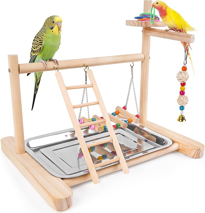 Bird Playground, Parrot Playstand Cockatiel Playground, Bird Play Stand with Feeder Cups, Swings, Ladder and Removable Tray, Parrot Perch Stand for Parakeet Conure Lovebird Budgie (2 Layers)