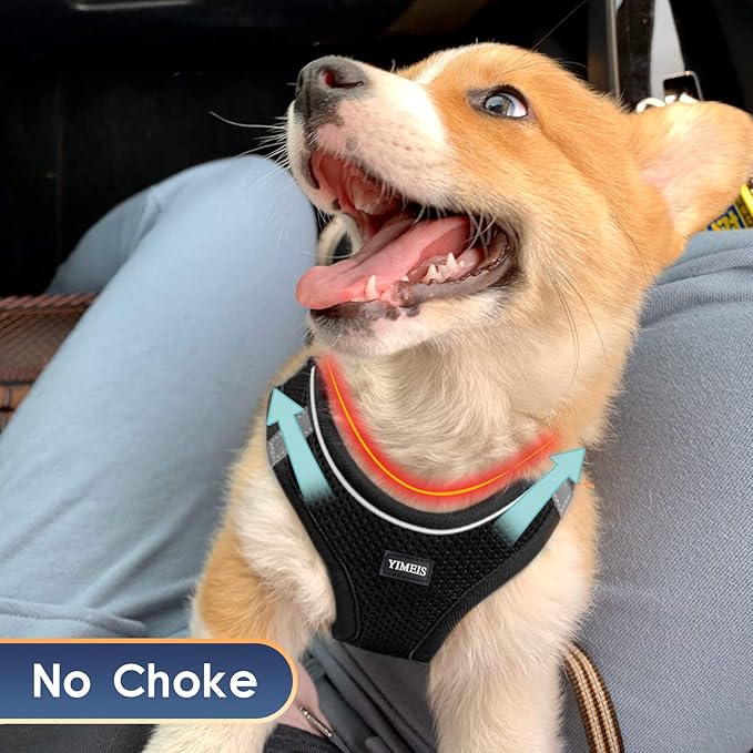 YIMEIS Dog Harness and Leash Set, No Pull Soft Mesh Pet Harness, Reflective Adjustable Puppy Vest for Small Medium Large Dogs, Cats (Black, X-Small (Pack of 1))