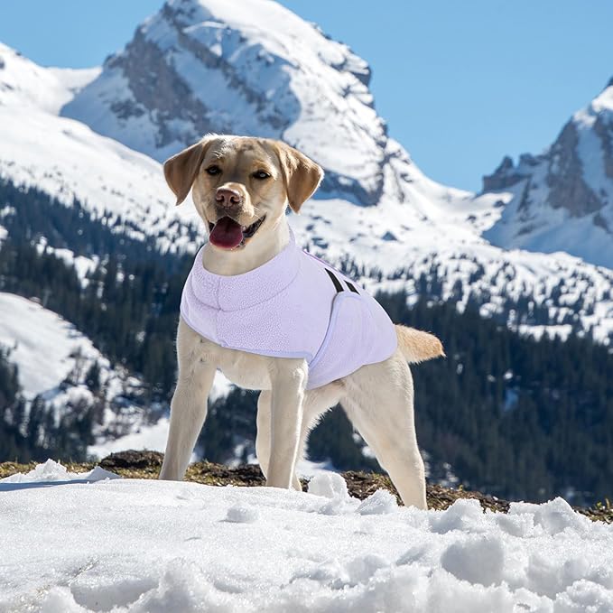 Queenmore Small Dog Sweater, Soft Fleece Vest Pullover Dog Jacket with Leash Hole, Warm Winter Dogs Clothes Cold Weather Doggy Dachshund Sweaters for Small Dogs Cats Boy or Girl (Lilac, XS)