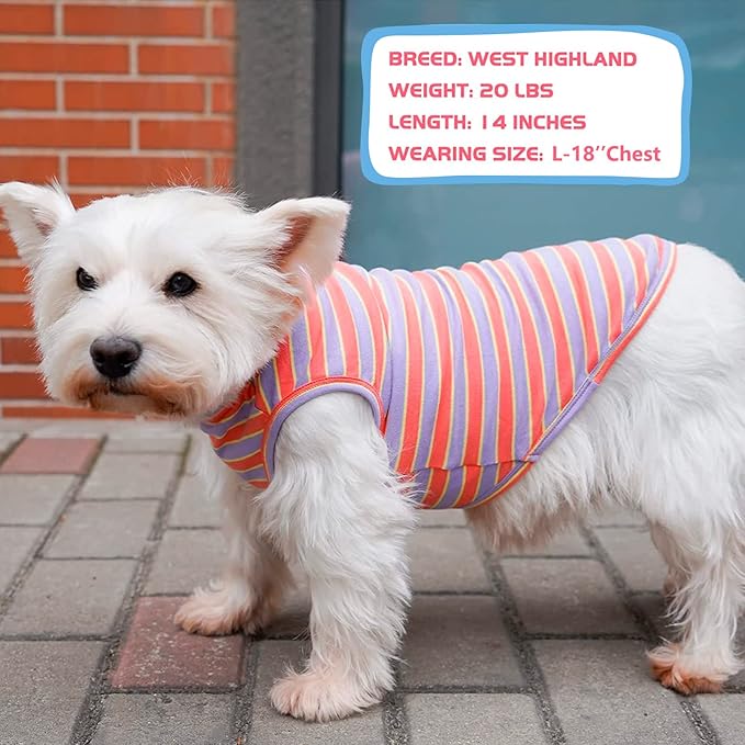 KYEESE 2Pack Dog Shirts Small Tee Soft for Small Dogs Striped T Shirt Lightweight Sleeveless Vest Cotton Tank Top Clothes, Large,Purple+Orange Striped