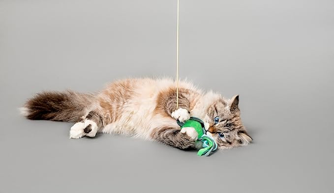 Cat Toys | Plush Toy Turtle Teaser Cat Toys for Indoor Cats | Eco Friendly Toy Made from Non Toxic Materials