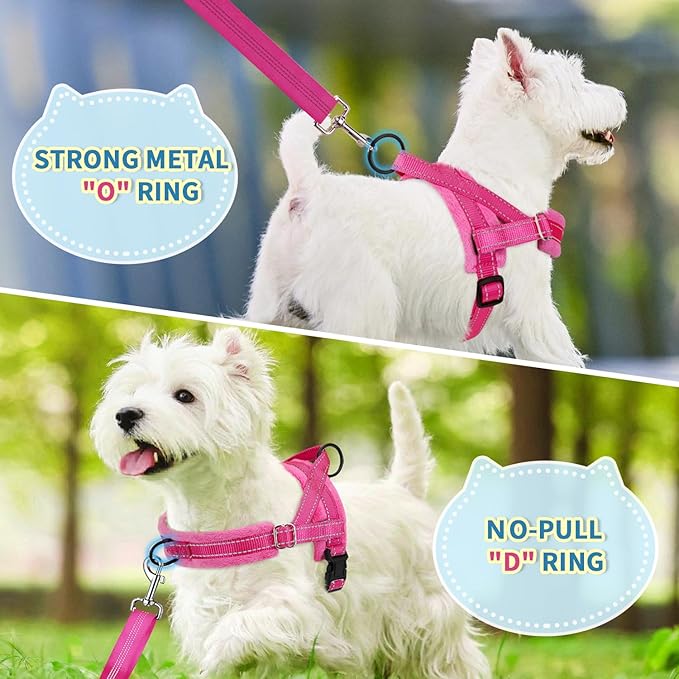SlowTon No Pull Small Dog Harness and Leash Set, Puppy Soft Vest Harness Neck & Chest Adjustable, Reflective Lightweight Harness & Anti-Twist Pet Lead Combo for Small Medium Dogs (Fuchsia, XS)