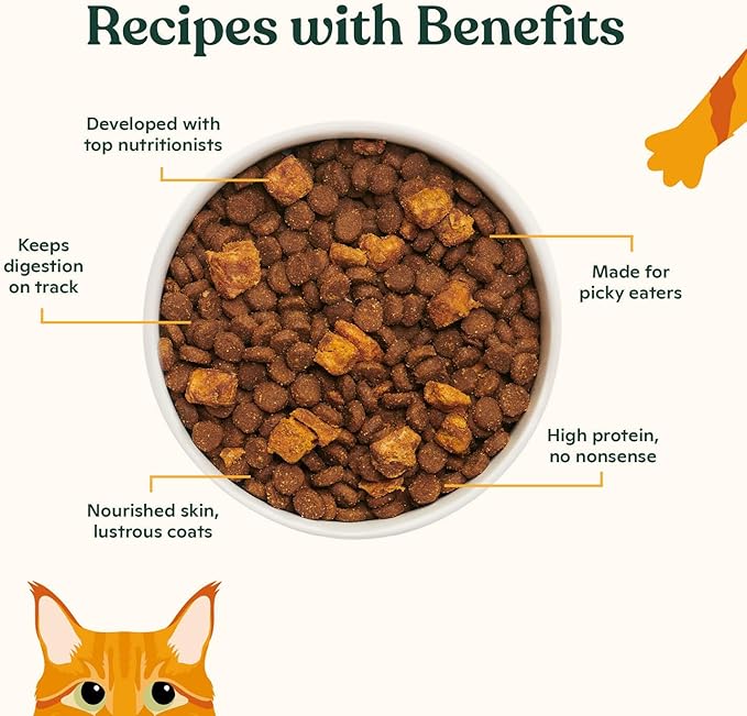 Made by Nacho Dry Cat Kibble 4lb Bag, High Protein Premium Cat Food with Freeze Dried Pieces, Cage-Free Chicken & Duck, Limited Ingredients, Single Bag