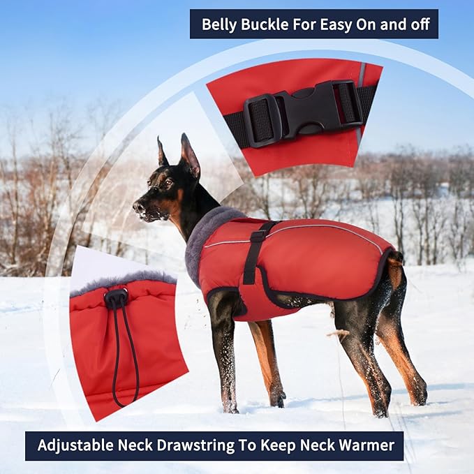 IECOii Extra Warm Dog Coat - Reflective, Adjustable Winter Jacket with Buckle & Turtleneck for Small to Extra Large Dogs