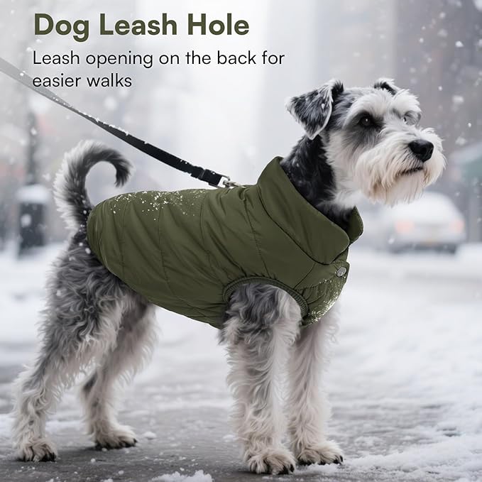 ASENKU Windproof Dog Winter Coat Waterproof Fleece Jacket Cold Weather Pet Apparel for Small Medium Large Dogs (ArmyGreen, S)