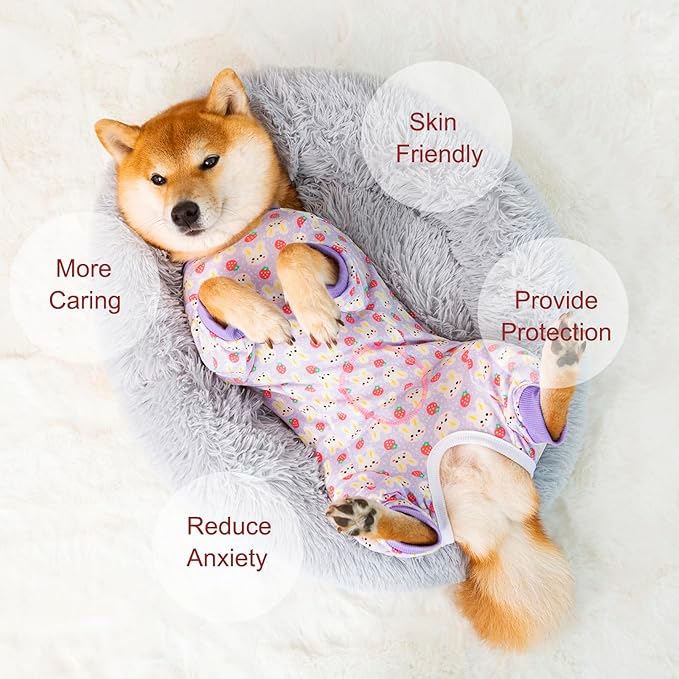 Dog Recovery Suit for Small Medium Large Dogs, Pet Onesie After Surgery Comfort Dog Bodysuit Anti Licking (Large, Purple Bunny)
