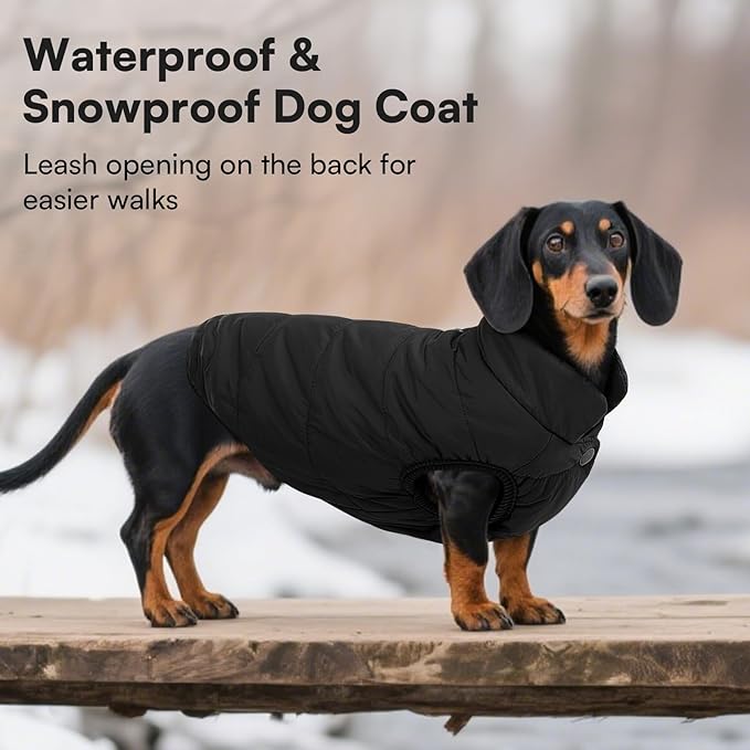 ASENKU Windproof Dog Winter Coat Waterproof Fleece Jacket Cold Weather Pet Apparel for Small Medium Large Dogs (Black, 3XL)