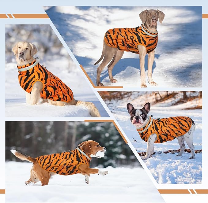 Dog Jackets for Medium Dogs,Medium Dog Coat,Warm Pet Winter Coat Zip Up Back,Waterproof Dogs Jacket with D-Ring,Pet Cold Weather Coats with Fleece Lined, Snowsuit Pug Boston Terrier,M