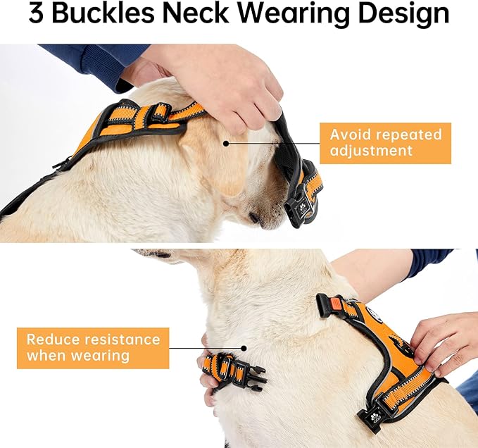 IVY&LANE No Pull Dog Harness for Large Dogs, Dog Vest Harness with Leash, Safety Belt and Storage Strap, Fully Adjustable Harness, 360° Reflective Strip, Soft Handle (Orange, L)
