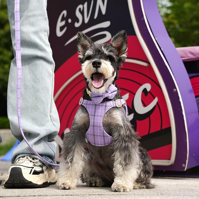 Beirui Cute Extra Small Dog Harness Collar and Leash Set with Bowtie, Soft Adjustable Plaid Puppy Harness for Small Sized Dogs Cats Walks Parties and Photoshoots(Purple,XS:Chest 13-18")
