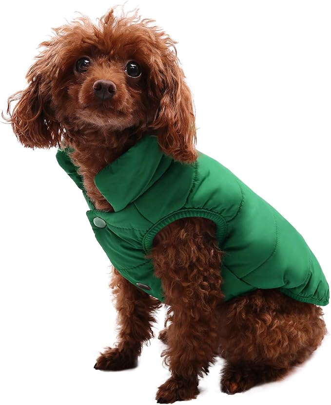 ASENKU Dog Winter Coat - Waterproof Windproof Dog Jacket, Warm Snowproof Doggie Puffer Vest for Cold Weather, Lightweight Snow Coats for Small Medium Large Dogs (2XL, Green)