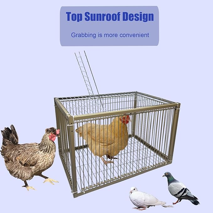 15" H Chicken Pigeon Trap Cage Birdcage Small Animal Trap Cage with Escape-Proof Design for Bird Turkey Duck Dove (23.6" L x 23.6" W x 15.7" H)