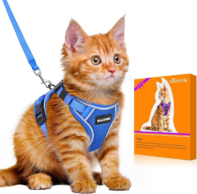 Halypet Cat Harness and Leash Set [MAX Safety 4th-Gen Upgrade] Escape Proof Adjustable Cat Leash Comfortable Soft Vest Easy to Wear Kitten Harness with Reflective Strip for Cats Walking, M Blue