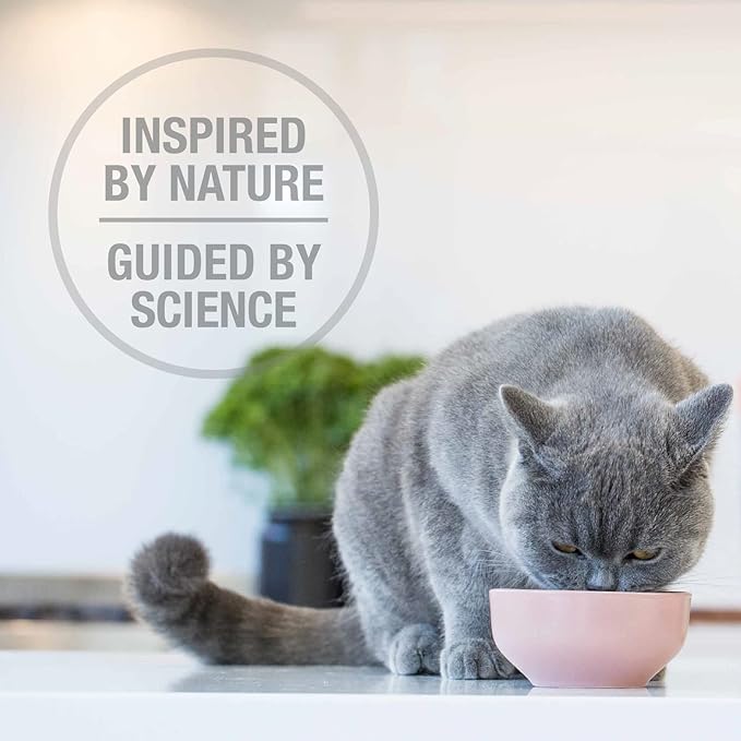 Feline Natural High Protein Dry Cat Food, Freeze-Dried Diet with 98% Meat, Organs & Seafood, No Peas, Grains, or Artificial Additives, Made in New Zealand Beef & Hoki, 3.5oz (Pack of 2)