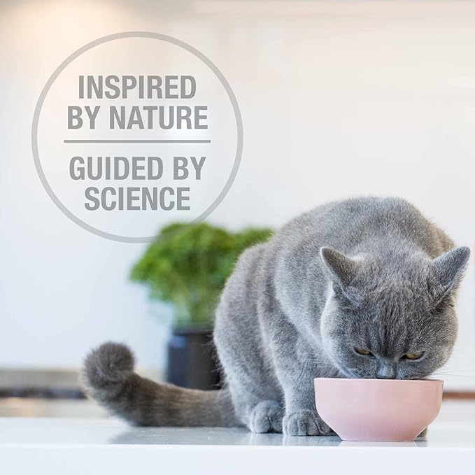 Feline Natural High Protein Dry Cat Food, Freeze-Dried Diet with 98% Meat, Organs & Seafood, No Peas, Grains, or Artificial Additives, Made in New Zealand, Chicken & Lamb, 11oz