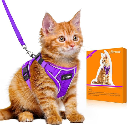 Halypet Cat Harness and Leash Set [MAX Safety 4th-Gen Upgrade] Escape Proof Adjustable Cat Leash Comfortable Soft Vest Easy to Wear Kitten Harness with Reflective Strip for Cats Walking, S Purple