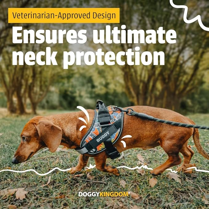 Personalized No-Pull Dog Harness with Name Patch, Adjustable, Reflective, Padded, Heavy Duty Pet Vest to Prevent Tugging, Pulling, or Choking, Training and Walking, Red, 2XL