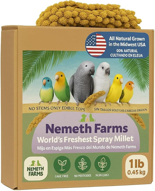 Nemeth Farms Premium Non-GMO Spray Millet Treat | Hand-Harvested Bird Snack | 100% Edible Tops | Sun-Dried Supplement for Parakeets, Cockatiels, Finches, Lovebirds, Canaries