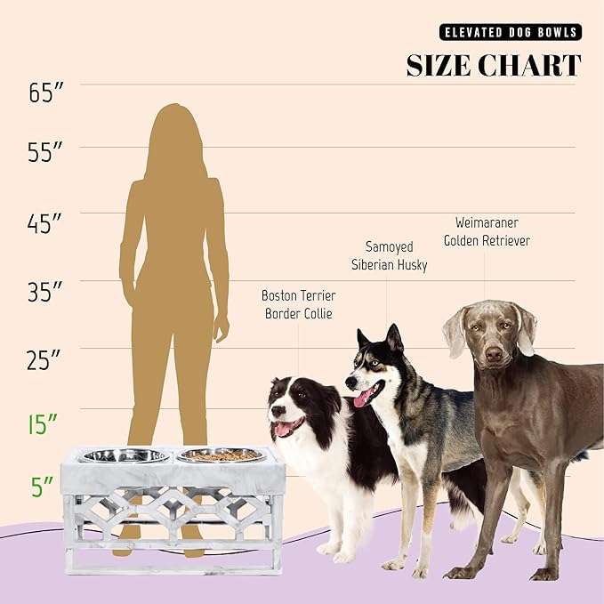 AVERYDAY Large Dog Bowls Elevated, 4 Height Adjustable Raised Dog Bowl Stand with 2 Stainless Steel Food and Water Bowls Set, Tall Dogs Feeding Station with Anti-Slip Base for Medium Large Breeds Dogs