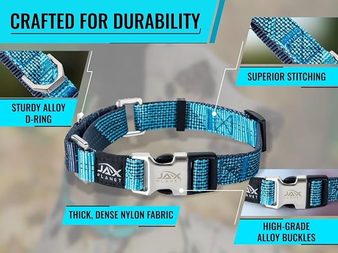 Blue Martingale Collar for Dogs - Heavy Duty Nylon Pet Collars for Escape-Free, No Pull Training & Walking with Alloy Metal Release Buckle & Reflective D Ring, One Time Adjustment, Safe & Secure, L