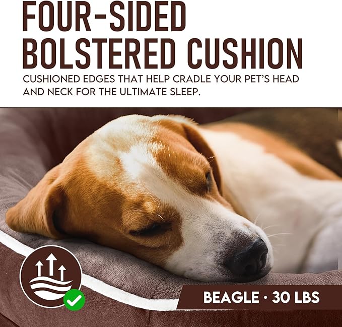 OhGeni Orthopedic Dog Couch Pet Sofa Large Sized Cat Beds with Comfort Foam Support, Soft Comfortable Fabric, Machine Washable Waterproof Removable Cover, 35-Inch (Brown)