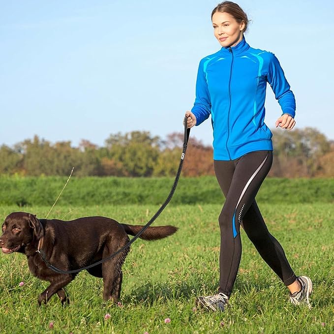 Dog Leash- 6 FT Leashes for Small to Large Dogs, Double Handle Dog Leash, Reflective Walking Training Lead (Dog Leash (Black), 6 FT Dog Leash)