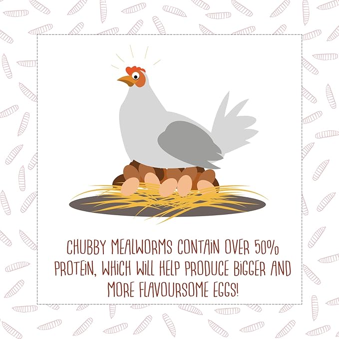 Chubby Mealworms Bulk Dried Mealworms for Wild Birds, Chickens etc. (2Lbs)