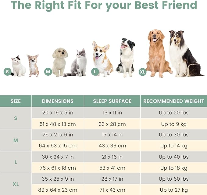 Miguel Washable Faux Linen Cat Beds for Indoor Cats with Removable Cushion Pillow, Easy to Wash Small Dog Bed with Side, Rectangle Kitten Bed Cuddle Puppy Bed with Anti-Slip Bottom, Green 20 Inch