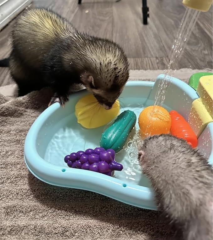 Bird Bath for Cage, Automatic Bath for Birds, Parrot Shower Bathtub Outdoor with Faucet, Bird Shower Swimming Pool Toy for Ferret, Budgie, Goldfinch, Cockatiel, Parakeet, Lovebird(Blue)