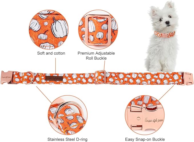 Unique style paws Dog Collar Metal Buckle Collar for Autumn Winter Christmas for Small Medium Large Boys Girls Dogs