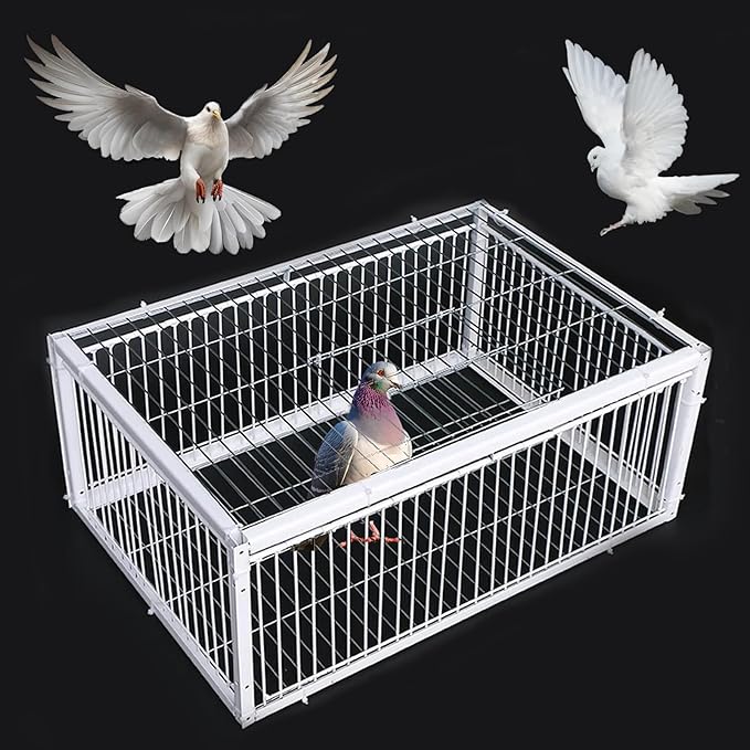 Pigeon Trap Cage with Escape-Proof Design Chicken Trap Bird Cage with One Way Entrance for Sparrows Quails Bird Chick and Duckling (23.6”L x 15.75” W x 10.24 ”H)