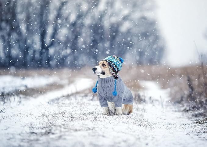 Queenmore Small Dog Pullover Sweater, Cold Weather Cable Knitwear, Classic Turtleneck Thick Warm Clothes for Chihuahua, Bulldog, Dachshund, Pug, Yorkie (Grey, Medium)