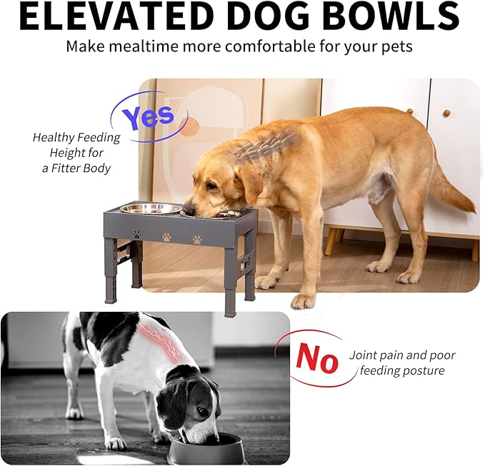 Elevated Dog Bowls with 2 Stainless Steel Bowls, Raised Dog Food Bowl Stand 5 Height Adjustable (3.1", 9", 10", 11", 12") Non-Slip Feeder Set for Medium and Large Dogs - Gray