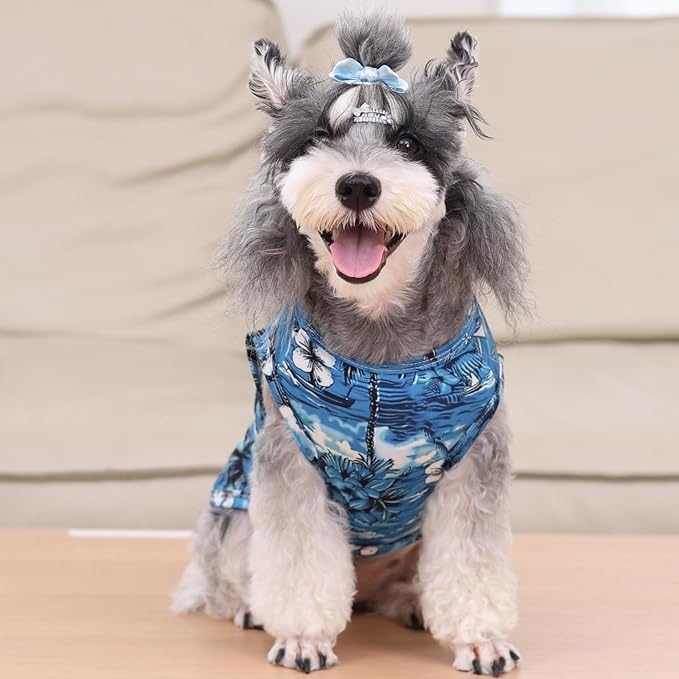 CuteBone Dog Shirts 2-Pack Soft Pet Clothes Breathable Summer Vest for Small Puppy and Stretchy Cat Apparel 2BX19XL