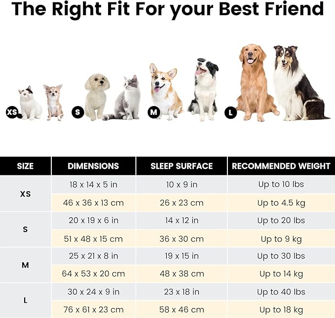 Miguel Washable Dog Bed With Removable Cushion for Medium Small Dogs, Easy to Wash Pet Sofa With Side, Rectangle Bolster Cat Calming Cuddle Puppy Bed With Anti-Slip Bottom, Blue 25 Inch