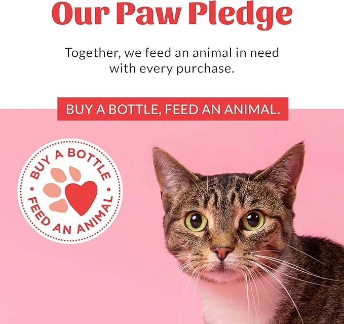 Skout's Honor Probiotic Cat Shampoo & Conditioner with Avocado Oil & Omega-3s, 97% Natural, Paraben & Sulfate-Free, Cruelty-Free, 16oz, Honeysuckle, 2-Pack