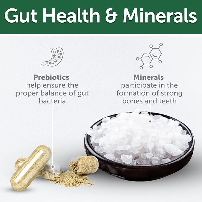 Nature's Protection Low Calorie Cat Treats - Crunchy Cat Snacks Treats for Indoor Cats - with Vitamins & Prebiotics for Urinary Health, Weight & Hairball Control (Superior Care - Poultry, 2.64 oz)