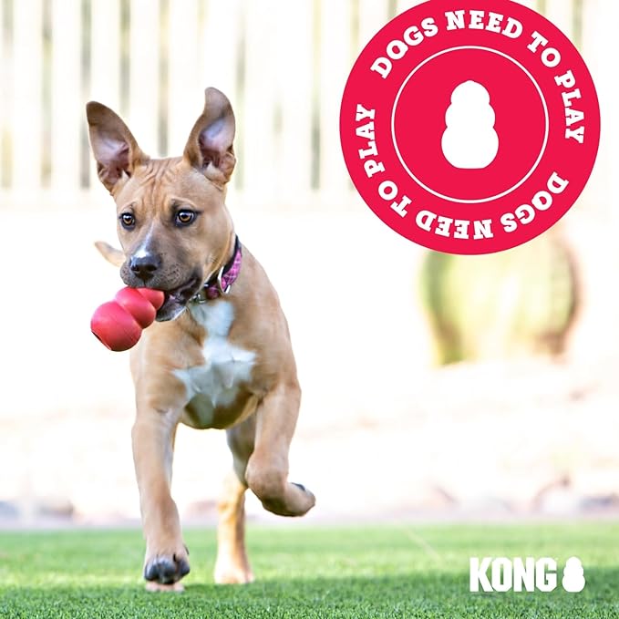 KONG Classic Stuffable Dog Toy - Fetch & Chew Toy for Dogs - Treat-Filling Capabilities & Erratic Bounce for Extended Play Time - Durable Natural Rubber Material - for Extra Small Dogs