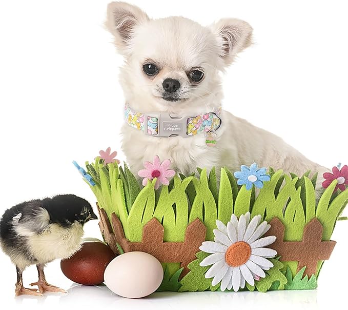 Unique style paws Easter Day Dog Collar Plastic Buckle Collar with Pendant Blue Sports Rabbit Ball Egg Puppy Collars Gift for Small Medium Large Boys Girls Dogs