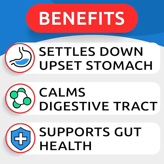 Pumpkin for Dogs - Powdered Fiber Supplement and Stool Softener - Treat Diarrhea, Constipation, Upset Stomach, Food Sensitivity - Improve Digestion - 8.1 oz Jar Natural