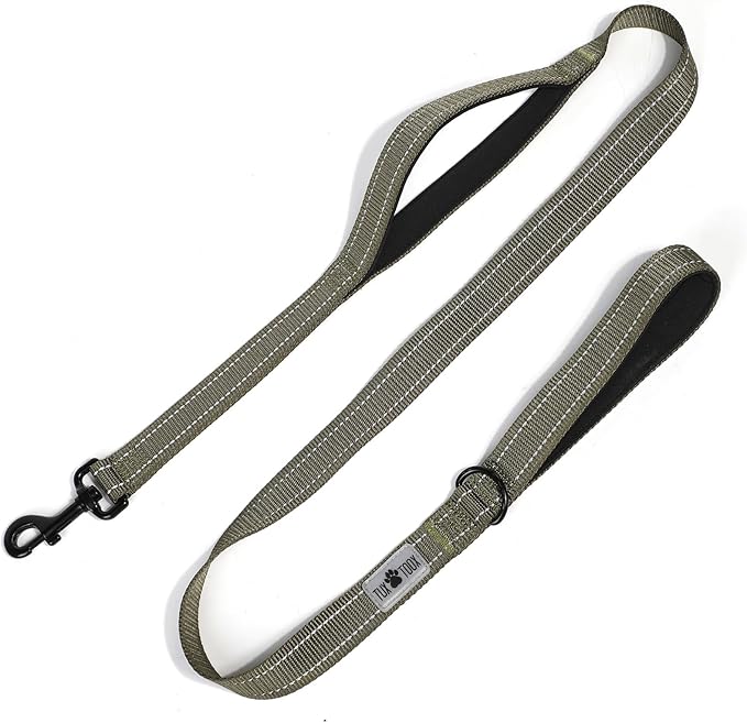 Dog Leash- 6 FT Leashes for Small to Large Dogs, Double Handle Dog Leash, Reflective Walking Training Lead (Dog Leash (Green), 6 FT Dog Leash)